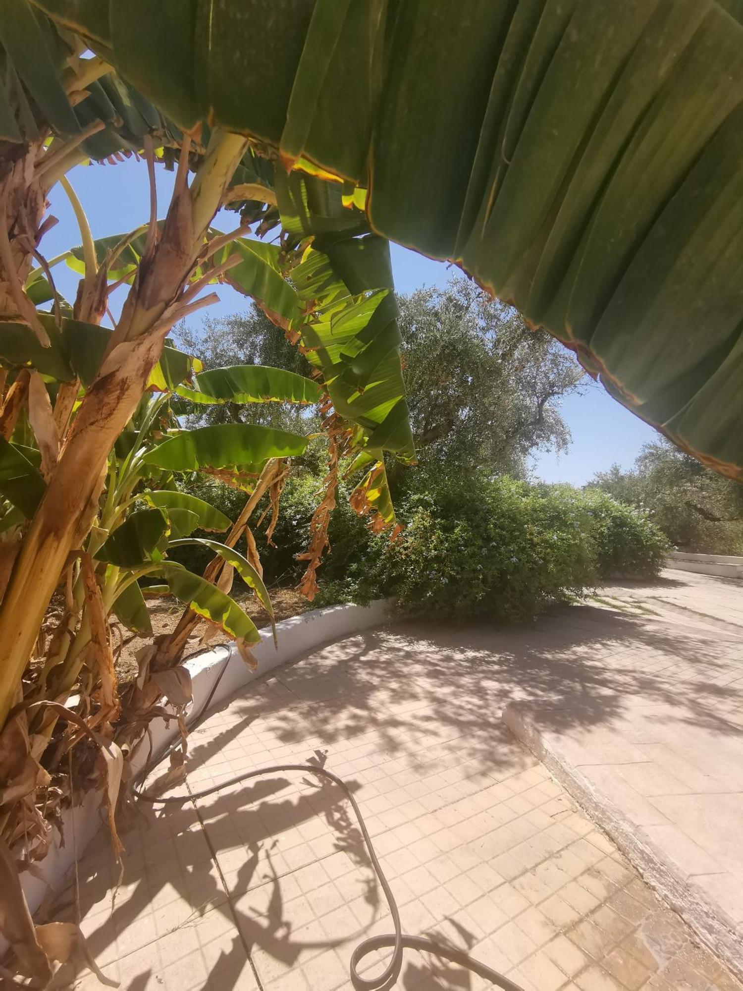 Hotel Lofos Strani 2*