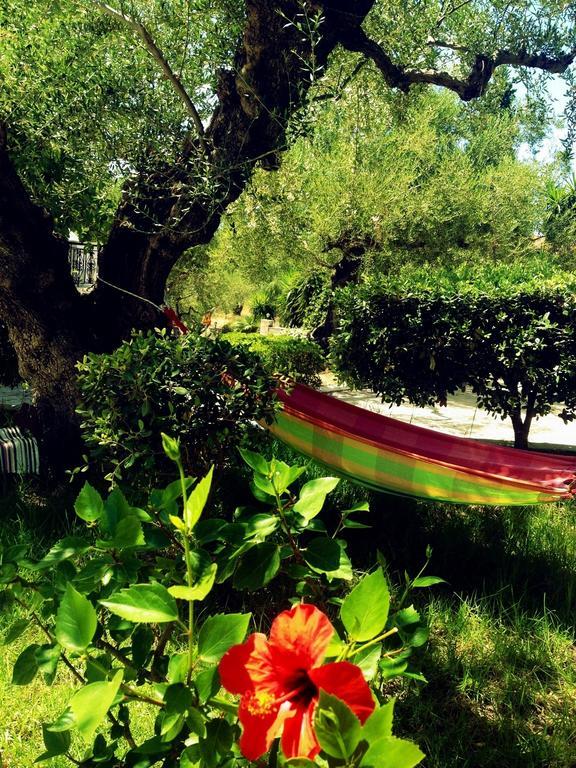 Lofos Strani Hotell Zakynthos stad