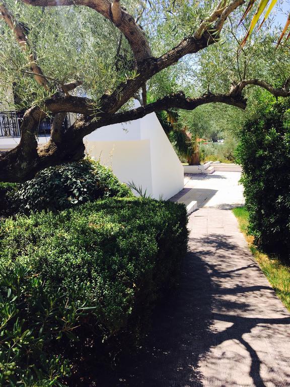 Hotell Lofos Strani Zakynthos stad