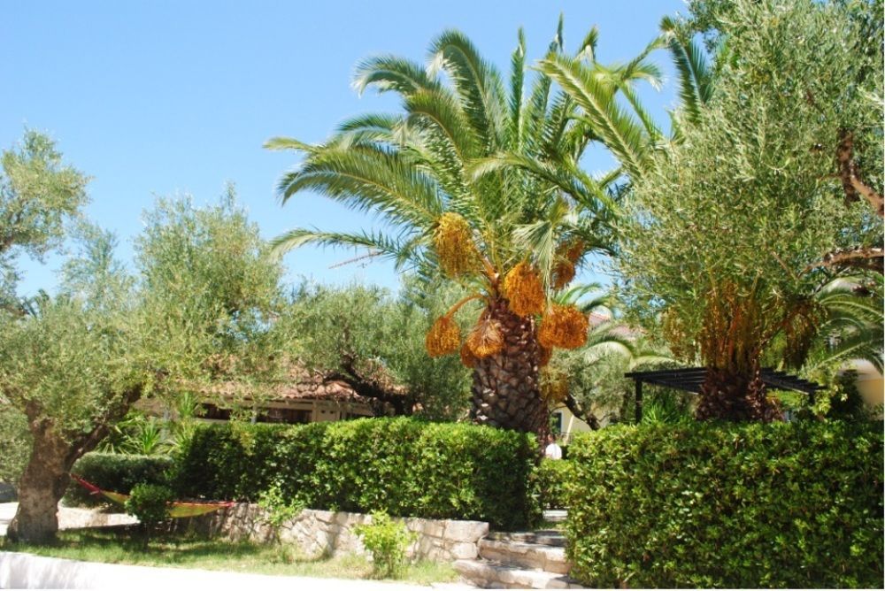 Hotell Lofos Strani